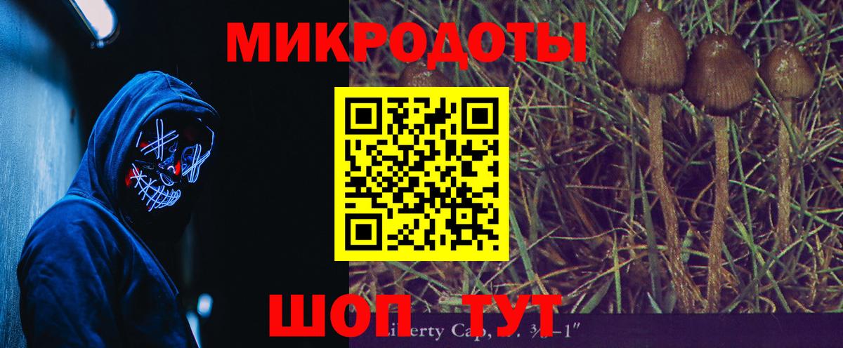 Астрахань  Псилоцибиновые грибы Psilocybine cubensis  Вход с VPN 